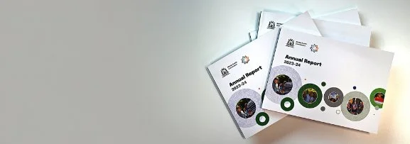 Our Reports