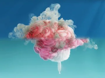 campaign video
