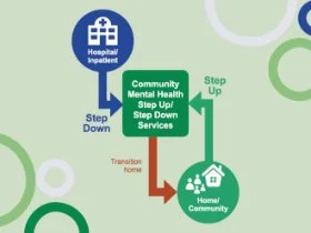 Step Up/Step Down Services Flow Diagram