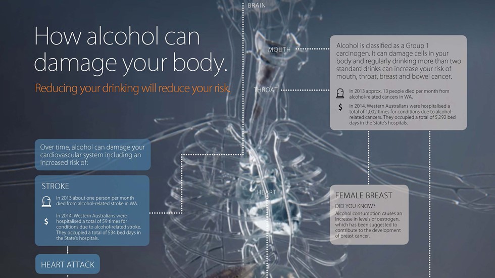 How alcohol can damage your body infographic