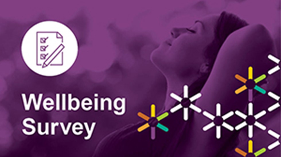 Text graphic reads Wellbeing Survey