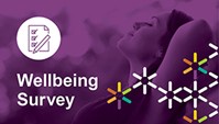 Text graphic reads: Wellbeing Survey