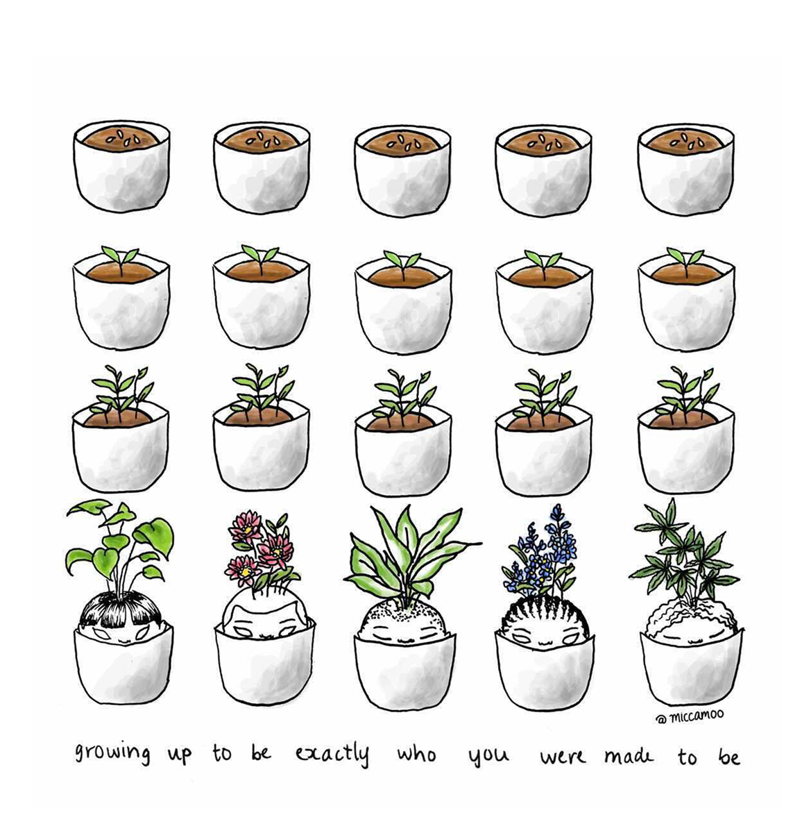 Drawing of 20 pot plants showing growth from seeds. With caption 'growing up to be exactly who you were made to be'.