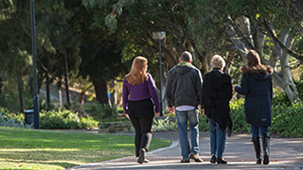 Four people walk side by side through a park, with their backs facing the camera. Park has green grass, and large trees.